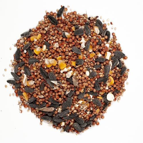 Wagner's 53002 Farmer's Delight Wild Bird Food with Cherry Flavor,