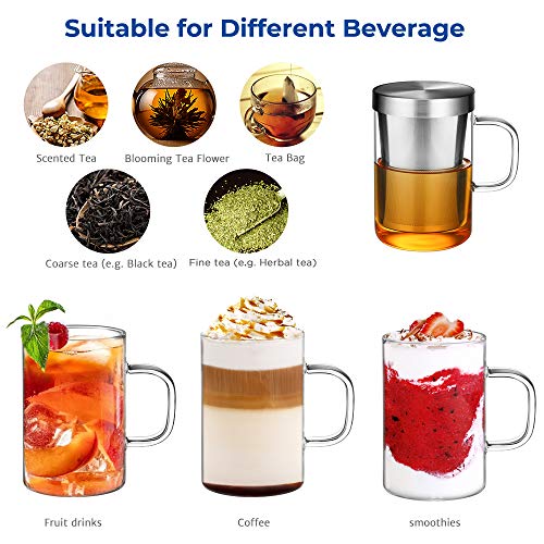 ecooe Silver 16.9oz Glass Tea Cup with Infuser & Lid, 430ml Capacity
