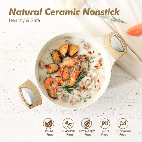 Ceramic Nonstick Stock Pot with Lid, Non-Toxic Induction Cooking Pot