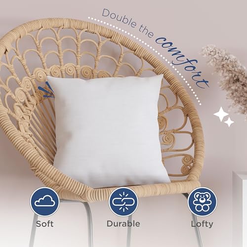 22x22 Decorative Throw Pillow Inserts, Plush Polyester Fill, 2-Pack