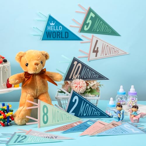 14 Pcs Baby Monthly Milestone Pennant Banner - Felt Photo Prop for Birthdays