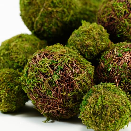 18-Piece Decorative Moss and Rattan Ball Set for Bowl and Vase Fillers