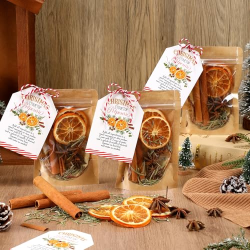 Christmas Simmer Pot Gift Set with Dried Fruits & Spices - 6 Pack