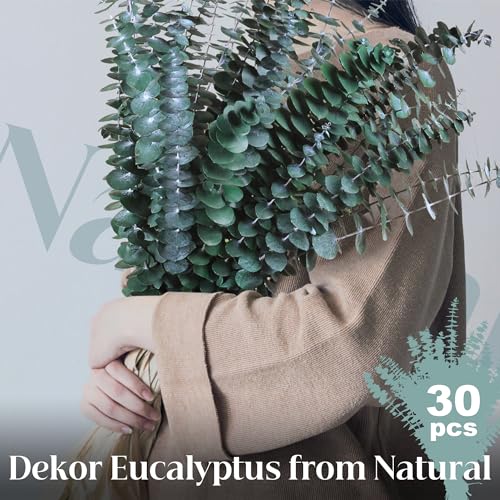 Preserved Dried Eucalyptus Stems Shower Bundle - 17 Inch Branches (30 Pcs)