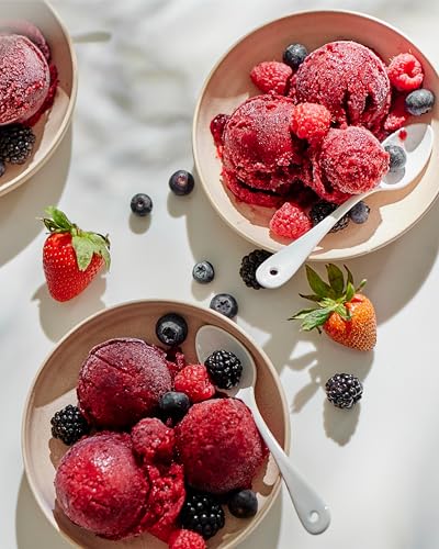 NAMA Sorbet Attachment for J2 Juicer - Homemade Frozen Fruit & Dairy Treats