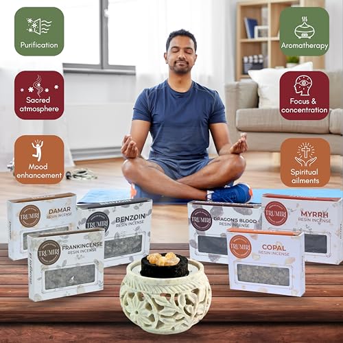 Natural Resin Incense Variety Pack - 6 x 30g Frankincense Myrrh & More
