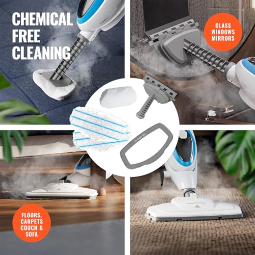 10-in-1 Steam Mop and Detachable Handheld Steam Cleaner with Accessories
