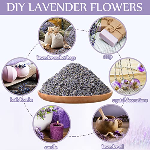 Dried Lavender Flowers 3 Pound Bulk - Natural Fragrant Buds for DIY Crafts