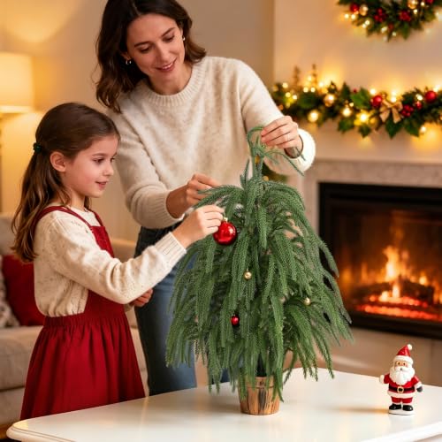 2ft Norfolk Pine Tree with Pot - Siyaluens Tabletop Christmas Tree (1pc, 2ft)