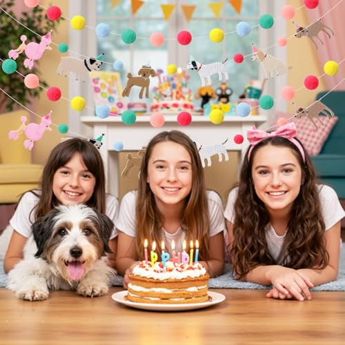 3-Piece Dog Felt Ball Garland - Colorful Pom Pom Banner for Party Decor