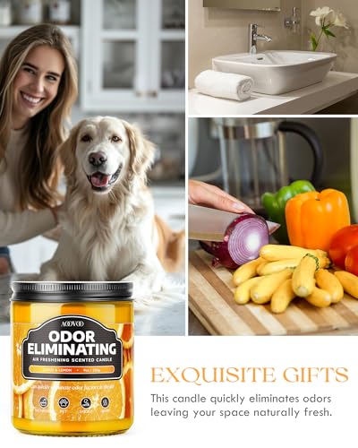 Citrus Lemon Odor Eliminating Soy Candle - 9oz Scented Home Air Freshener