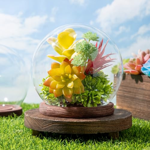 4-Piece Glass Display Dome Set with Wood Base, 5.9-Inch Clear Globe Case
