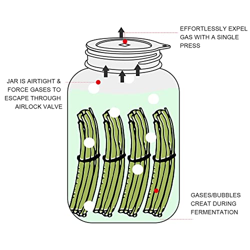 Silicone Fermentation Lids for Wide Mouth Mason Jars 4-Pack