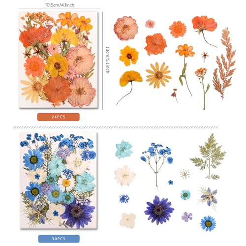 182 PCS Real Pressed Dried Flowers and Leaves Set with Tweezers for DIY Crafts