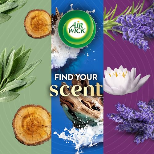 Plug-In Scented Oil Air Freshener Refills - Deep Blue Sea & Beach Wood, 4 Pack