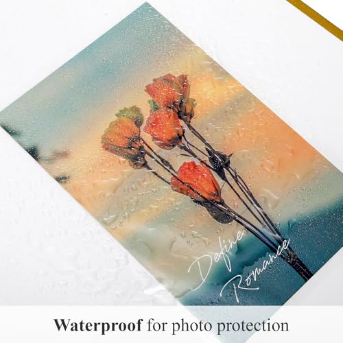 100 Sheet Self-Adhesive Photo Album Refill Pages for 3-Ring Binders, 11x9"