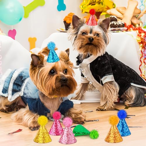 10 Pack Mini Party Hats for Stuffed Animals and Pets