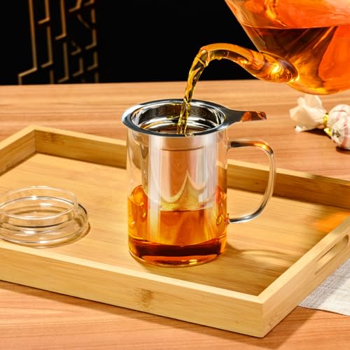 15 oz PARACITY Glass Tea Mug with Infuser & Lid - Borosilicate, Microwave & Dishwasher Safe