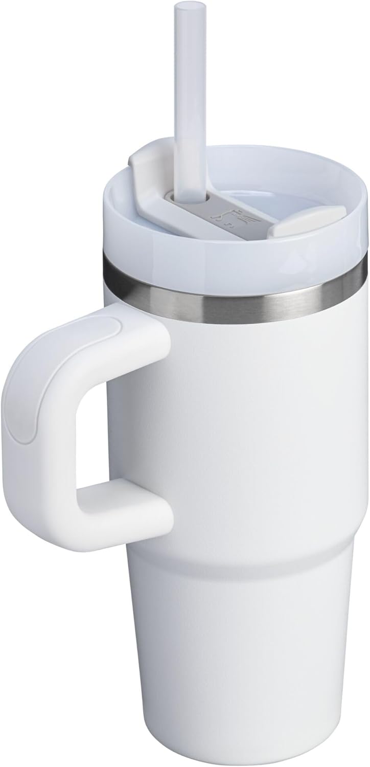 STANLEY Quencher H2.0 Tumbler - Insulated 14 oz Stainless Steel Cup with Handle & Straw | BPA-Free | Frost