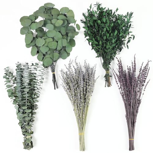 120 Pcs Preserved Dried Eucalyptus Stems & Lavender Flowers for Shower & Decor