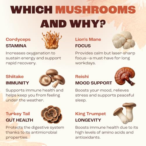RYZE Organic Mushroom Coffee - Adaptogenic Medium Roast with 6 Superfood Mushrooms, 30 Servings