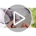 3-Piece Jungle Safari Animal Cardboard Cutout Set for Party Decorations