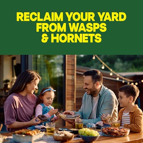Raid Wasp & Hornet Killer Spray, Bug Kills the Entire Nest, 14 Oz, 2