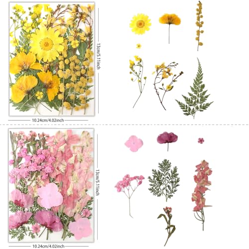 80pcs Natural Pressed Dried Flowers for Resin Art, Nail Art, and DIY Crafts