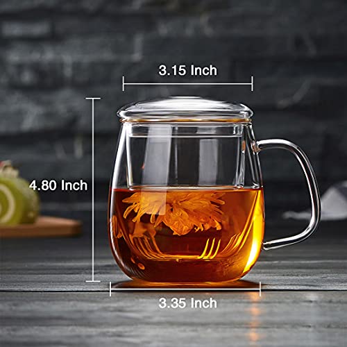 DOPUDO 17.6oz Borosilicate Glass Tea Cup with Infuser & Lid - Microwave Safe