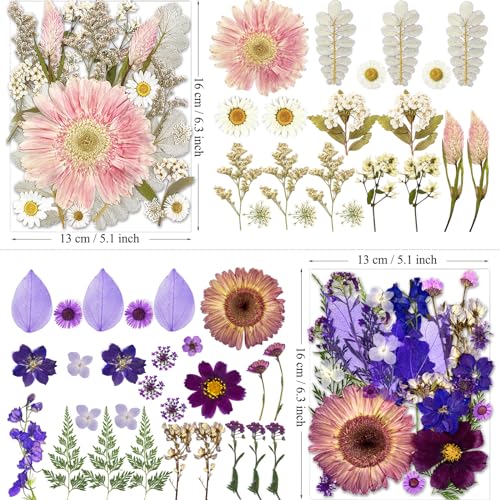 98 Pcs Real Natural Pressed Dried Flowers & Leaves for Resin Crafts