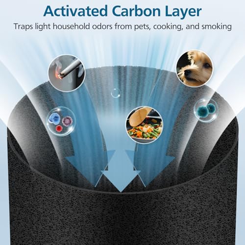 Replacement Air Purifier Filter True HEPA and Activated Carbon 2 Pack