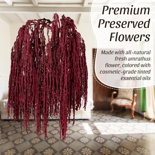 Red Natural Dried Amaranthus Hanging Flowers, 12 Pcs 23-Inch Preserved Stems