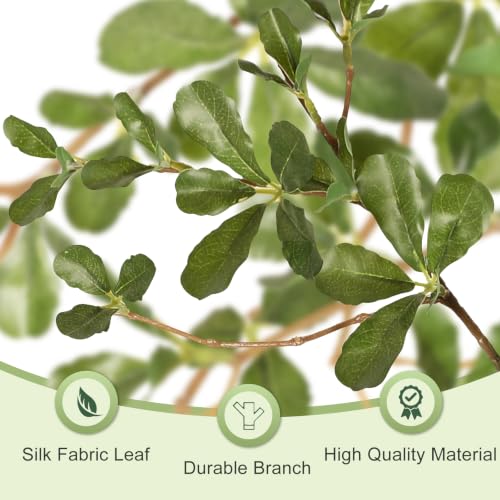 7ft Black Olive Tree | Realistic Faux Shady Lady Decor for Home