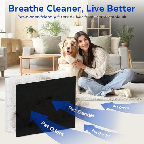 2-Pack Air Purifier Filter Replacement HEPA and Carbon Filters