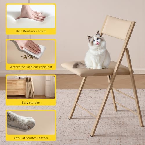 Heavy Duty Padded Folding Chairs - 450lb Capacity Steel Frame, 2 Pack
