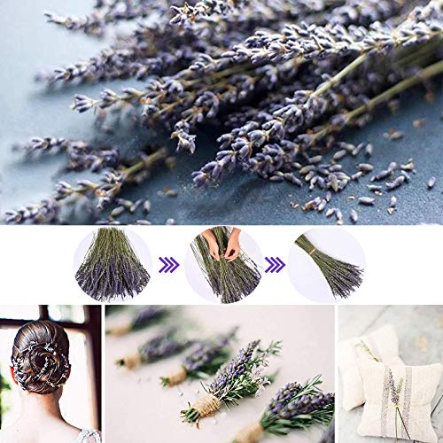 Natural Dried Lavender Flower Bundles, 200 Stems for Decor and Weddings