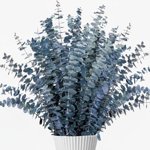 26Pcs Preserved Dried Eucalyptus Stems, 17-Inch Natural Blue-Green Bundle