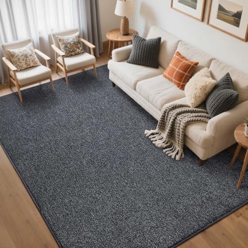 5x7 Grey Area Rug, Non-Slip Washable Soft Low-Pile Carpet for Living Room