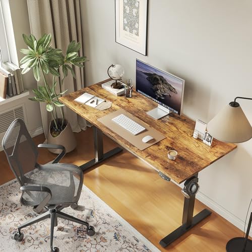 Electric Standing Desk 48 x 24 Inch, Height Adjustable Sit Stand Desk