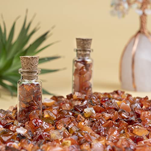 Natural Carnelian Crystal Chips - 1/2 lb Polished Gemstone Rocks for Decor
