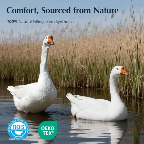 Premium King Size Goose Down Fiber Comforter - 420TC Cotton All-Season Insert