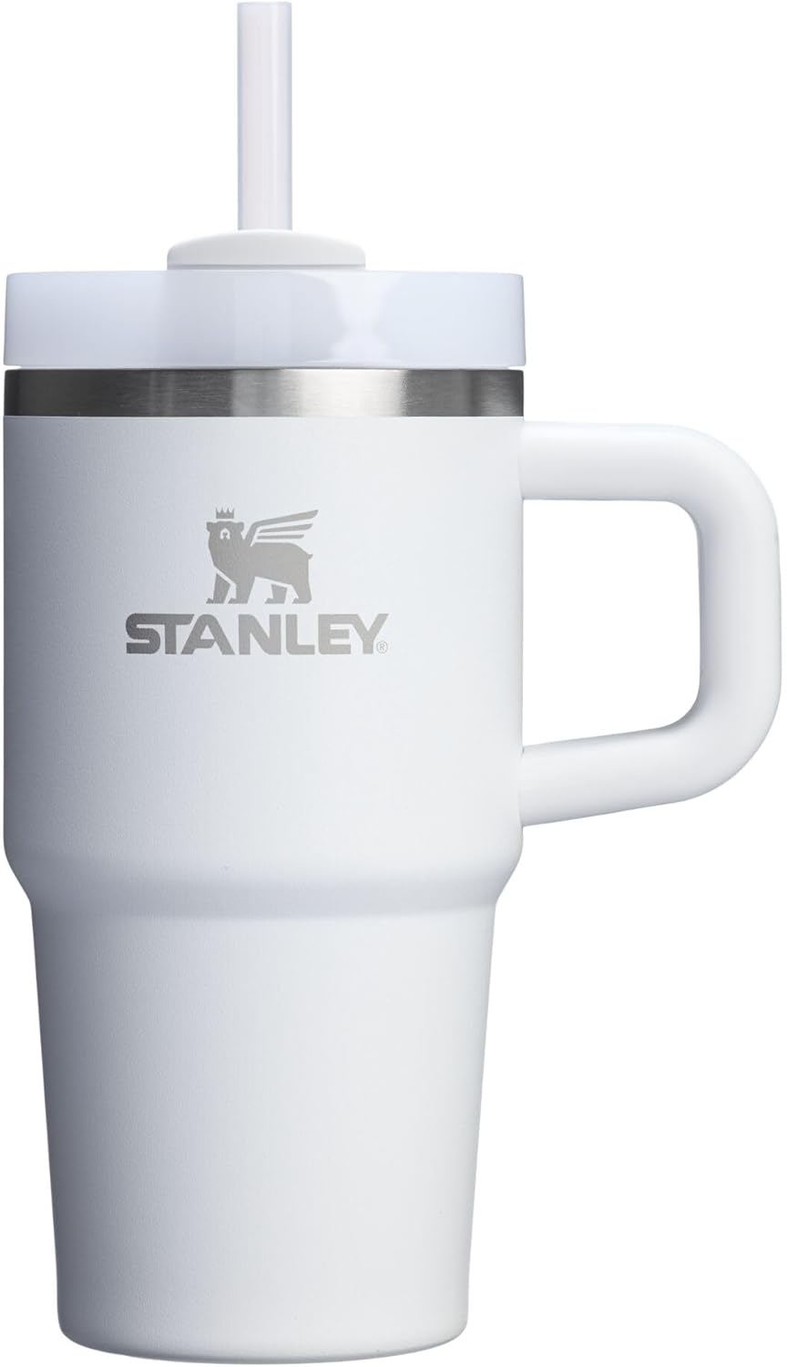 STANLEY Quencher H2.0 Tumbler - 20 oz Insulated Stainless Steel Cup with Handle & Straw | BPA-Free | Frost