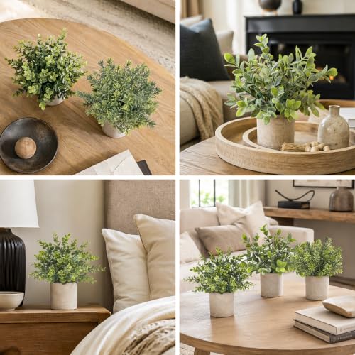 3-Pack Small Artificial Eucalyptus Plants in Pots for Home Office Desk Decor