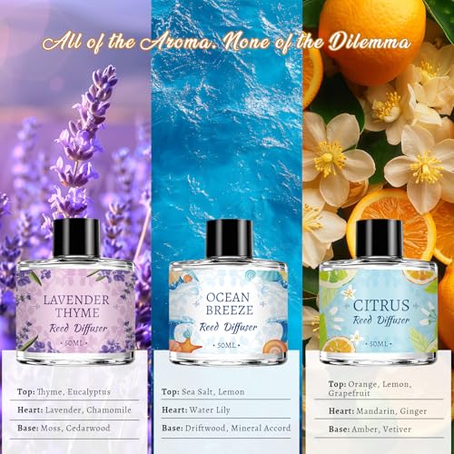 6-Pack Reed Diffuser Set with 30 Sticks, Long-Lasting Aromatherapy Home Fragrance