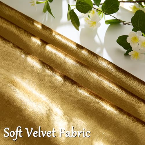 GIGIZAZA Gold Velvet Throw Pillow Covers 18x18, Pack of 2 Soft Cushion Covers