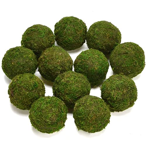 Natural Preserved Moss Decorative Balls, 3.5-Inch Set of 6