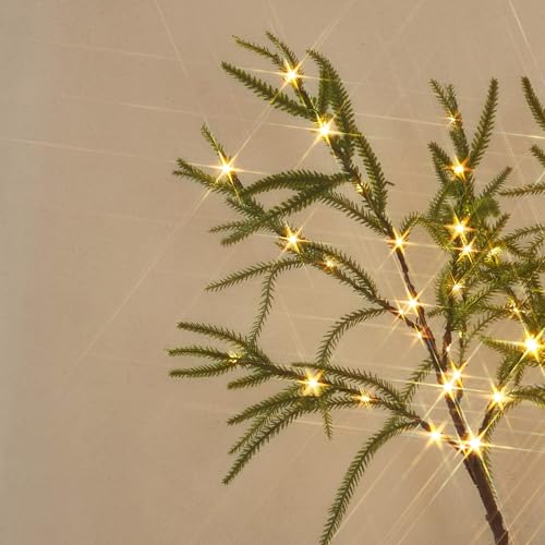 6FT Lighted Norfolk Pine Tree with 416 LED Fairy Lights - Indoor/Outdoor Christmas Decor (LITBLOOM)