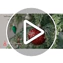 VeriNatural 96Pcs Shatterproof Christmas Ornaments Set – Multi-Color with Gold Hangers