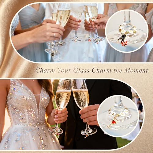 Acootima Ladies DIY Wine Glass Charms Kit, 25 Reusable Drink Markers for Wine Tasting & Parties