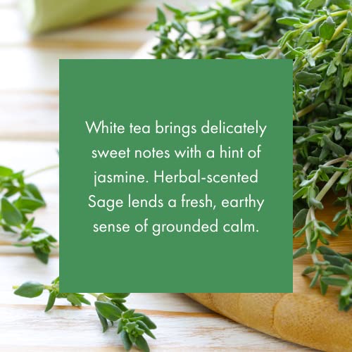 Essential Oil Plug-in Diffuser Refill, White Tea & Thyme, 300 Hours
